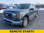 2021 F-150 Thumbnail 7