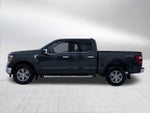 2021 F-150 Thumbnail 4