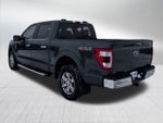 2021 F-150 Thumbnail 5