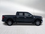 2021 F-150 Thumbnail 8