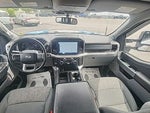 2021 F-150 Thumbnail 18