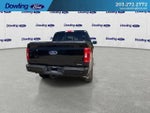 2022 F-150 Thumbnail 2