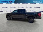 2022 F-150 Thumbnail 8