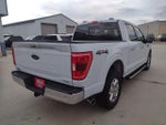 2022 F-150 Thumbnail 5