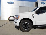 2022 F-150 Thumbnail 9