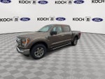 2022 F-150 Thumbnail 4