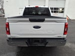2023 F-150 Thumbnail 4