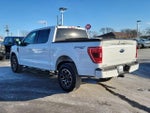 2023 F-150 Thumbnail 6