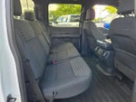 2023 F-150 Thumbnail 9