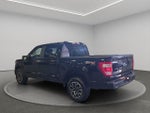 2023 F-150 Thumbnail 4