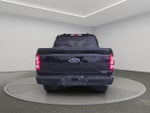 2023 F-150 Thumbnail 5