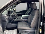 2023 F-150 Thumbnail 9