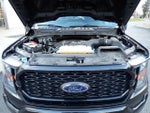 2023 F-150 Thumbnail 12