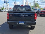 2023 F-150 Thumbnail 5
