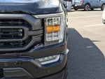 2023 F-150 Thumbnail 9