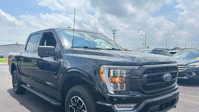 Preowned 2023 Ford F-150 XL for Sale
