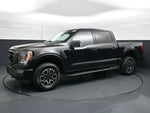 2023 F-150 Thumbnail 1