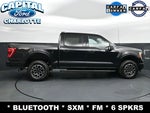 2023 F-150 Thumbnail 8