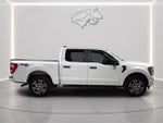 2023 F-150 Thumbnail 4