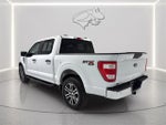 2023 F-150 Thumbnail 8