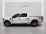 2023 F-150 Thumbnail 9