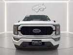2023 F-150 Thumbnail 10