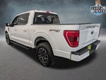 2023 F-150 Thumbnail 17