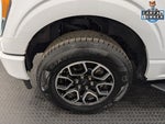 2023 F-150 Thumbnail 18