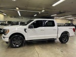 2023 F-150 Thumbnail 4
