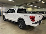 2023 F-150 Thumbnail 5