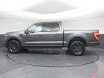 2023 F-150 Thumbnail 8