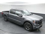 2023 F-150 Thumbnail 49