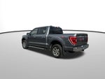 2023 F-150 Thumbnail 8