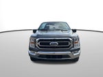 2023 F-150 Thumbnail 12