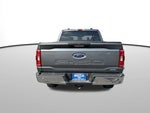 2023 F-150 Thumbnail 14