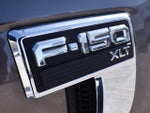 2023 F-150 Thumbnail 8