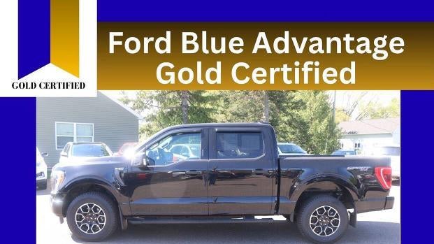 Preowned 2023 Ford F-150 XLT for Sale