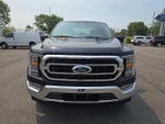 2023 F-150 Thumbnail 4