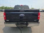 2023 F-150 Thumbnail 7