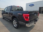 2023 F-150 Thumbnail 8