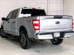 2023 F-150 Thumbnail 8