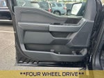 2023 F-150 Thumbnail 11