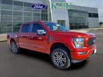 2023 F-150 Thumbnail 3