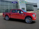 2023 F-150 Thumbnail 4