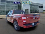 2023 F-150 Thumbnail 6