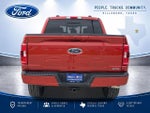 2023 F-150 Thumbnail 6