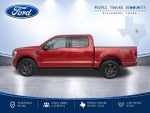 2023 F-150 Thumbnail 8