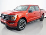 2023 F-150 Thumbnail 8
