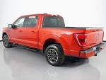 2023 F-150 Thumbnail 9