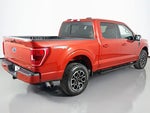 2023 F-150 Thumbnail 10